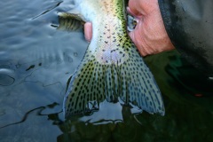 1-Klamath-Spey-website-9