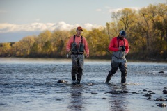 6-Trout-Spey-Tom-Travis-Lower-Sac-website-5